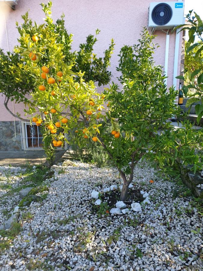 Affittacamere Quinta De Sao Marcos Fundão Esterno foto